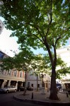 photo No. IMG_3984